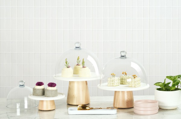 الأغطية والصواني